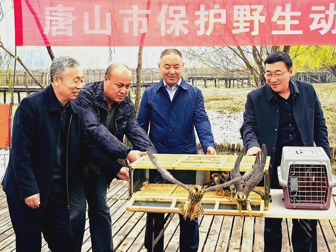 护野生动物宣传月”启动k8凯发国际唐山市“保(图2)