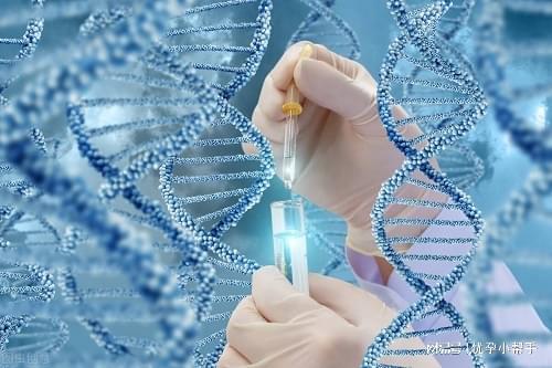 胎这十条一定要注意-优孕行凯发K8首页登录高龄备孕二