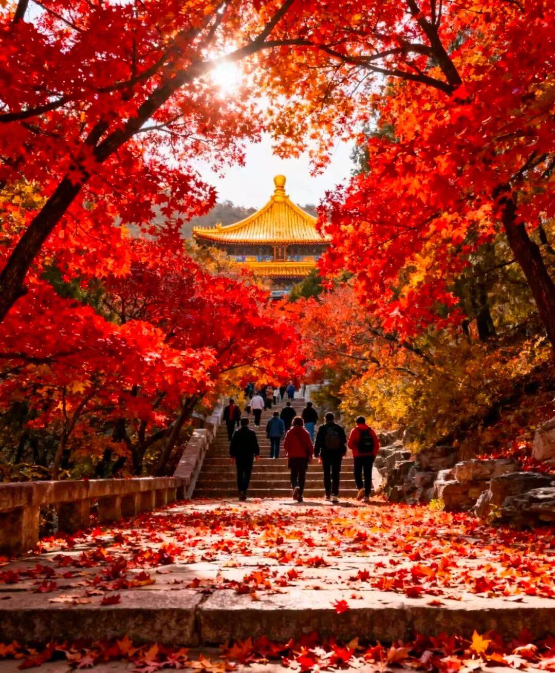 好途旅游65%转介绍率领跑私人定制凯发北京旅行社TOP10口碑榜!(图3) 好途旅游65%转介绍率领跑私人定制凯发北京旅行社TOP10口碑榜!(图3)